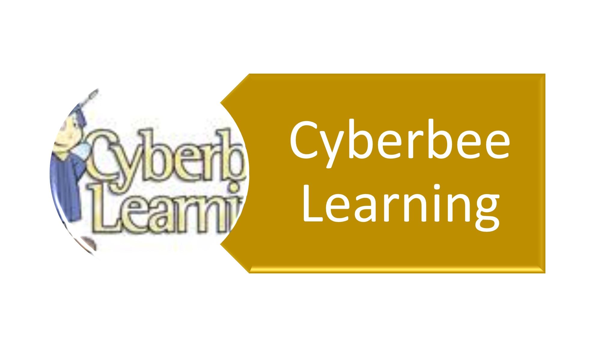 Cyberbee