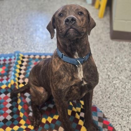 39611892-4790-401b-8a63-fd4cf71c026a