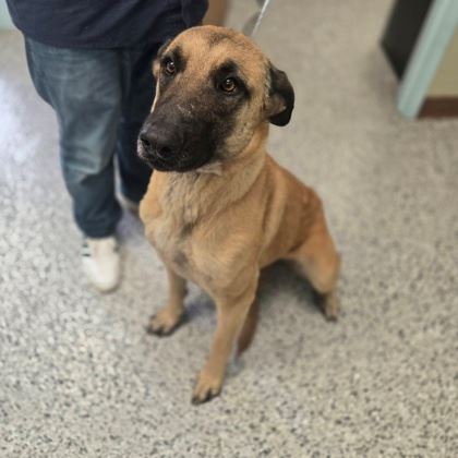 36d63b56-eb08-4afa-8c69-f5c6ba705917